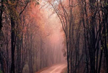 朝着复出迈进！诺伊尔今日恢复有球训练.