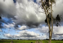 竞技宝：中沙之战现场观众为人，超名中国球迷现场助威.