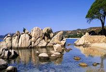 竞技宝:图片报:纳帅改主意伯卡特明天将首发,磁卡施蒂勒预计也首发.